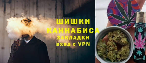прущие грибы Инта