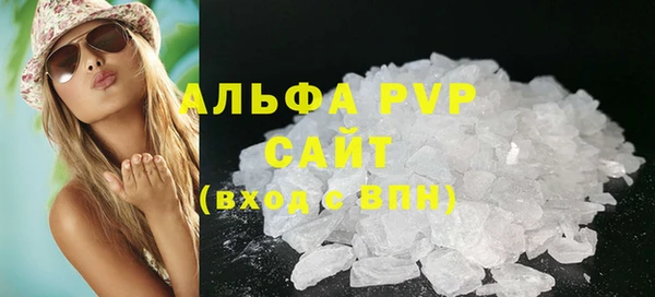 ПСИЛОЦИБИНОВЫЕ ГРИБЫ Инсар
