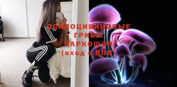 тгк Саяногорск