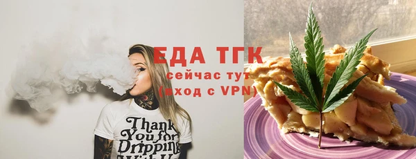 прущие грибы Инта