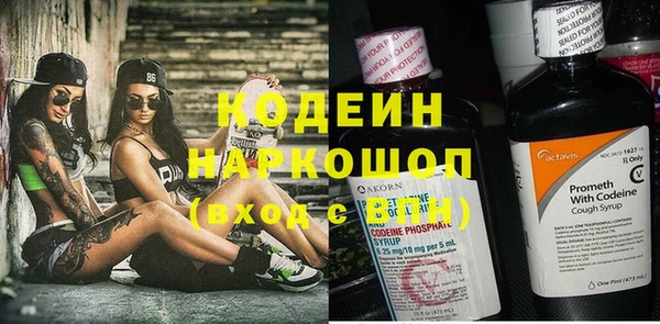 ПСИЛОЦИБИНОВЫЕ ГРИБЫ Инсар