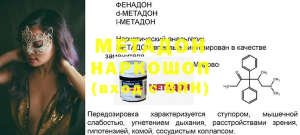 прущие грибы Инта