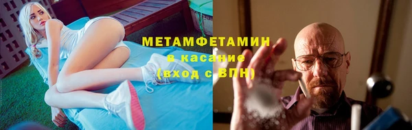 прущие грибы Инта