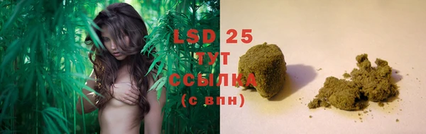 ПСИЛОЦИБИНОВЫЕ ГРИБЫ Инсар