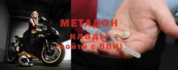 прущие грибы Инта