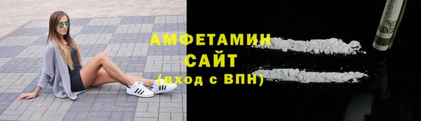 прущие грибы Инта