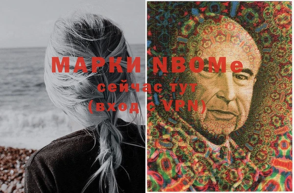 прущие грибы Инта