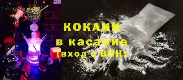 ПСИЛОЦИБИНОВЫЕ ГРИБЫ Инсар