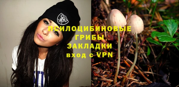 ПСИЛОЦИБИНОВЫЕ ГРИБЫ Инсар
