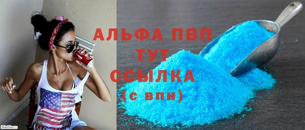ПСИЛОЦИБИНОВЫЕ ГРИБЫ Инсар