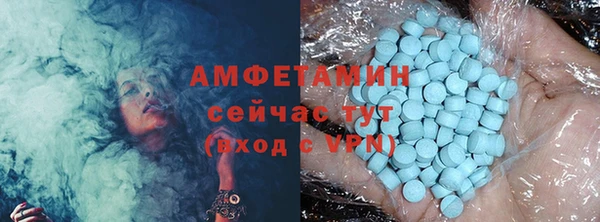 прущие грибы Инта