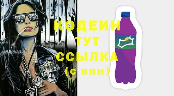 прущие грибы Инта