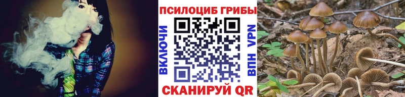 Купить закладки  Елизово  Псилоцибиновые грибы ЛСД 